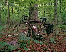 On Beaver Island, 1998
